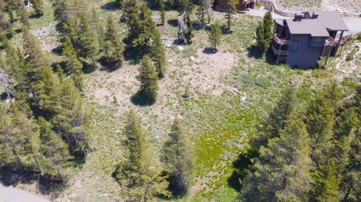 Project Summary: 665 Columbine Circle – Kirkwood
